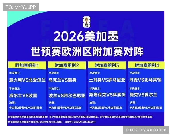 波黑队能否重返2026世界杯舞台?晋级形势与阵容前景分析